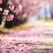 ヒメ日記 2025/03/13 15:19 投稿 なおこ 完熟ばなな神戸・三宮店