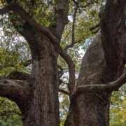 ヒメ日記 2025/04/20 15:22 投稿 なおこ 完熟ばなな神戸・三宮店