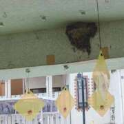 ヒメ日記 2025/05/22 18:49 投稿 なおこ 完熟ばなな神戸・三宮店