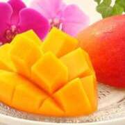 ヒメ日記 2025/05/23 14:09 投稿 なおこ 完熟ばなな神戸・三宮店