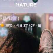 ヒメ日記 2025/07/08 15:41 投稿 なおこ 完熟ばなな神戸・三宮店