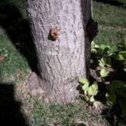 ヒメ日記 2025/07/19 17:27 投稿 なおこ 完熟ばなな神戸・三宮店