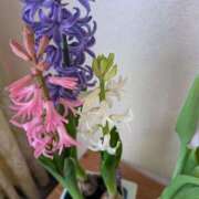 ヒメ日記 2026/02/24 15:43 投稿 なおこ 完熟ばなな神戸・三宮店