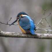 ヒメ日記 2026/03/01 16:15 投稿 なおこ 完熟ばなな神戸・三宮店