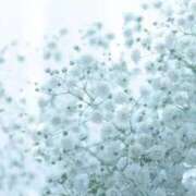 Mai お知らせ THE MUSE