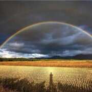 ヒメ日記 2024/12/12 07:28 投稿 彩葉朋香(いろはともか) 五十路マダムエクスプレス厚木店(カサブランカグループ)