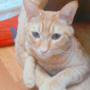 なみこ ごめんなさい 快楽夫人