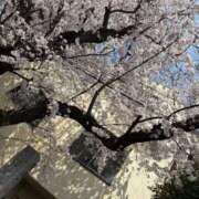 わかば 今日から新年度はじまり BAD COMPANY（バッドカンパニー）