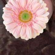 ヒメ日記 2025/03/23 21:26 投稿 かおる 京都人妻デリヘル倶楽部