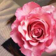 ヒメ日記 2025/04/13 00:14 投稿 かおる 京都人妻デリヘル倶楽部