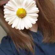 ヒメ日記 2025/09/03 00:08 投稿 かおる 京都人妻デリヘル倶楽部