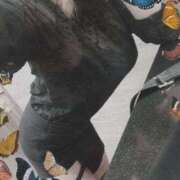 ヒメ日記 2025/11/29 05:17 投稿 まお ドM女学園大阪