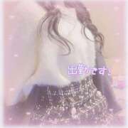 ヒメ日記 2026/04/08 12:11 投稿 もみじ スピード難波店