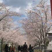 ヒメ日記 2025/04/10 14:05 投稿 あやか 完熟ばなな 横浜