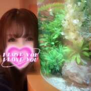 ヒメ日記 2024/12/18 22:30 投稿 凛々花-りりか【FG系列】 ほんとうの人妻 柏店