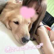 ヒメ日記 2024/12/29 00:24 投稿 凛々花-りりか【FG系列】 ほんとうの人妻　柏店