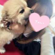 ヒメ日記 2025/01/21 16:35 投稿 凛々花-りりか【FG系列】 ほんとうの人妻　柏店