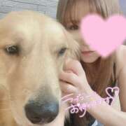 ヒメ日記 2025/02/04 08:16 投稿 凛々花-りりか【FG系列】 ほんとうの人妻　柏店