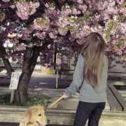 ヒメ日記 2025/02/28 19:50 投稿 凛々花-りりか【FG系列】 ほんとうの人妻　柏店