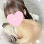 ヒメ日記 2025/03/06 10:03 投稿 凛々花-りりか【FG系列】 ほんとうの人妻　柏店