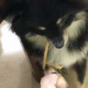 ヒメ日記 2025/03/11 19:26 投稿 凛々花-りりか【FG系列】 ほんとうの人妻 柏店