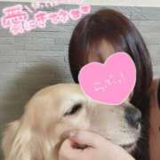 ヒメ日記 2025/03/13 10:07 投稿 凛々花-りりか【FG系列】 ほんとうの人妻　柏店