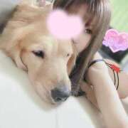 ヒメ日記 2025/03/17 15:07 投稿 凛々花-りりか【FG系列】 ほんとうの人妻　柏店