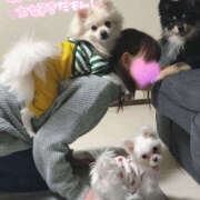 ヒメ日記 2025/03/18 23:10 投稿 凛々花-りりか【FG系列】 ほんとうの人妻　柏店