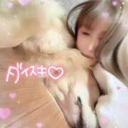 ヒメ日記 2025/03/27 21:17 投稿 凛々花-りりか【FG系列】 ほんとうの人妻　柏店