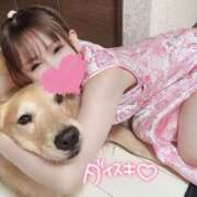 ヒメ日記 2025/04/12 15:05 投稿 凛々花-りりか【FG系列】 ほんとうの人妻　柏店