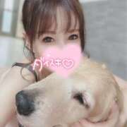 ヒメ日記 2025/04/25 15:03 投稿 凛々花-りりか【FG系列】 ほんとうの人妻　柏店