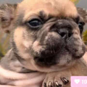 ヒメ日記 2025/05/04 16:27 投稿 凛々花-りりか【FG系列】 ほんとうの人妻　柏店