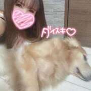 ヒメ日記 2025/05/10 15:04 投稿 凛々花-りりか【FG系列】 ほんとうの人妻　柏店