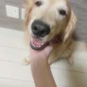 ヒメ日記 2025/05/20 17:10 投稿 凛々花-りりか【FG系列】 ほんとうの人妻　柏店