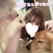 ヒメ日記 2025/06/05 17:48 投稿 凛々花-りりか【FG系列】 ほんとうの人妻　柏店