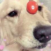 ヒメ日記 2025/06/18 16:02 投稿 凛々花-りりか【FG系列】 ほんとうの人妻　柏店