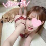 ヒメ日記 2025/07/08 12:30 投稿 凛々花-りりか【FG系列】 ほんとうの人妻　柏店