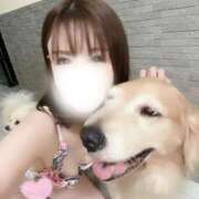 ヒメ日記 2025/09/02 19:03 投稿 凛々花-りりか【FG系列】 ほんとうの人妻　柏店