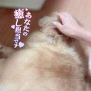 ヒメ日記 2025/09/07 19:46 投稿 凛々花-りりか【FG系列】 ほんとうの人妻　柏店