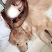 ヒメ日記 2025/09/12 20:37 投稿 凛々花-りりか【FG系列】 ほんとうの人妻　柏店