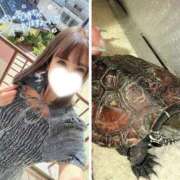 ヒメ日記 2025/09/14 17:17 投稿 凛々花-りりか【FG系列】 ほんとうの人妻　柏店