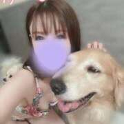 ヒメ日記 2025/09/21 22:03 投稿 凛々花-りりか【FG系列】 ほんとうの人妻　柏店