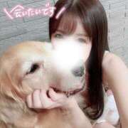 ヒメ日記 2025/09/26 12:21 投稿 凛々花-りりか【FG系列】 ほんとうの人妻　柏店