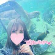 ヒメ日記 2025/09/30 17:23 投稿 凛々花-りりか【FG系列】 ほんとうの人妻　柏店