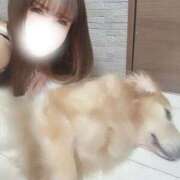 ヒメ日記 2025/10/02 15:02 投稿 凛々花-りりか【FG系列】 ほんとうの人妻　柏店