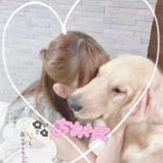 ヒメ日記 2025/10/31 17:30 投稿 凛々花-りりか【FG系列】 ほんとうの人妻　柏店