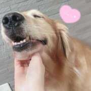 ヒメ日記 2025/11/04 12:18 投稿 凛々花-りりか【FG系列】 ほんとうの人妻　柏店