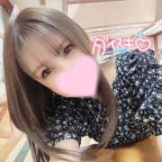 ヒメ日記 2025/12/29 12:32 投稿 凛々花-りりか【FG系列】 ほんとうの人妻　柏店