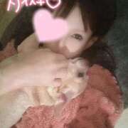 ヒメ日記 2026/01/02 00:55 投稿 凛々花-りりか【FG系列】 ほんとうの人妻　柏店