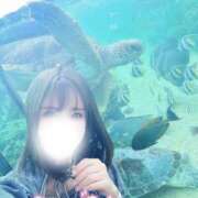 ヒメ日記 2026/02/02 19:49 投稿 凛々花-りりか【FG系列】 ほんとうの人妻　柏店